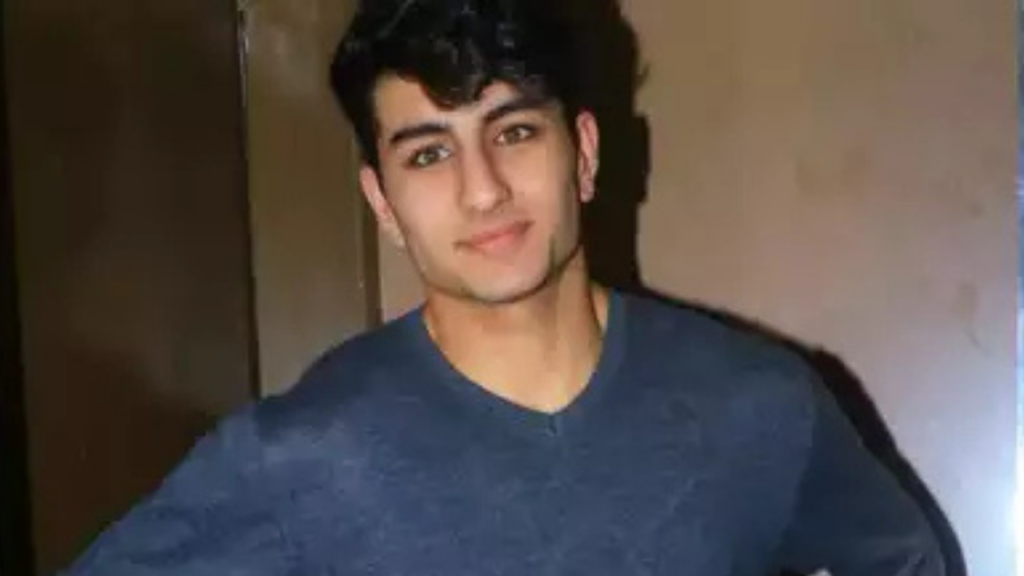 Ibrahim Ali Khan Networth