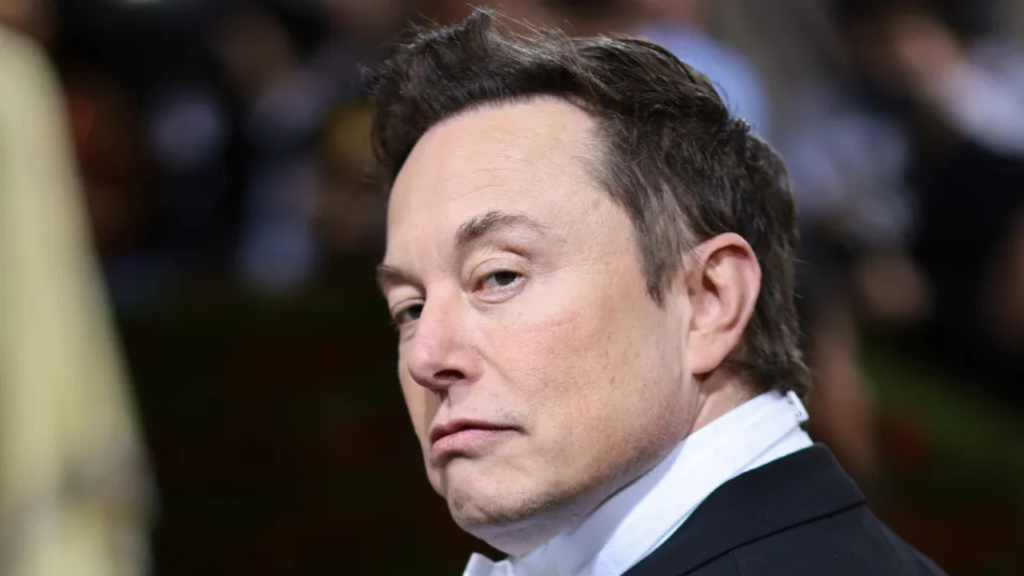 Elon Musk Networth