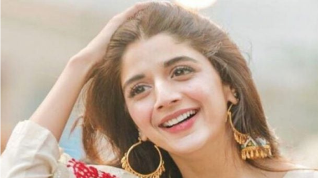 Mawra Hocane Networth